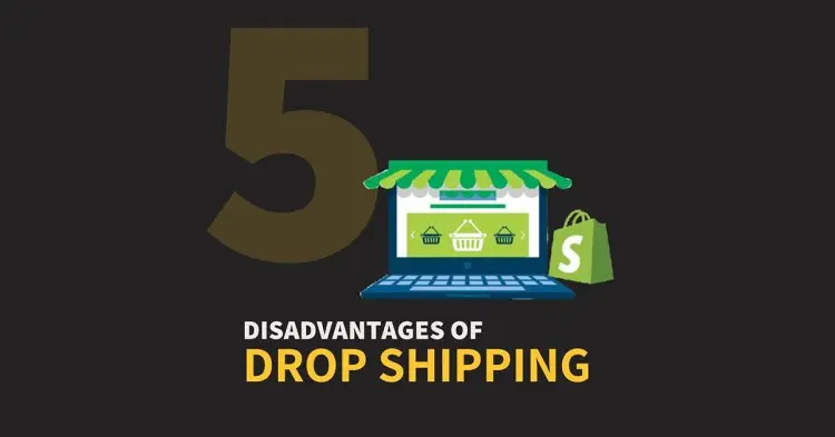 Disadvantages Of Dropshipping