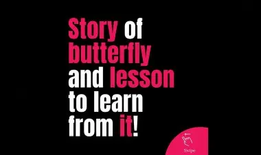 Story Of Butterfly And Lesson To Learn From It !