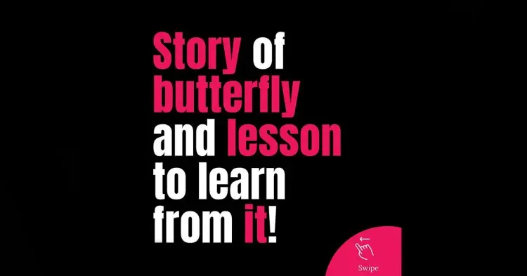 Story Of Butterfly And Lesson To Learn From It !